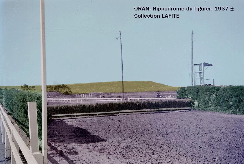 Oran- Le figuier 36a.jpg